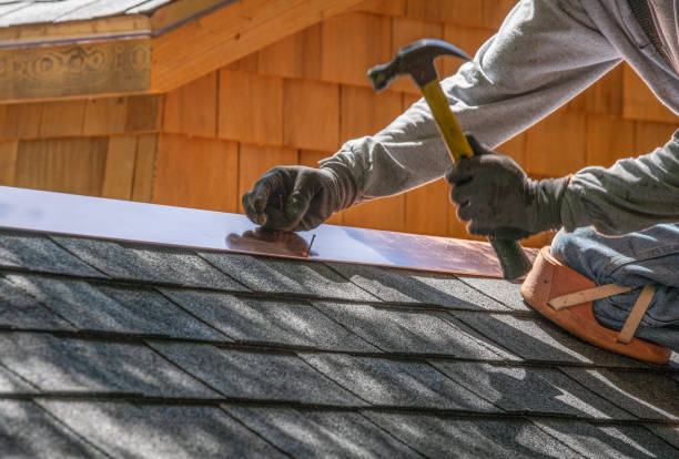 Best Solar Panel Roofing Installation  in Hudson, TX