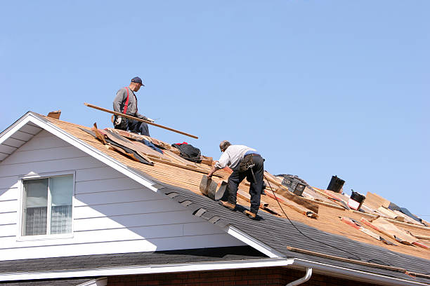 Best Roof Maintenance and Cleaning  in Hudson, TX